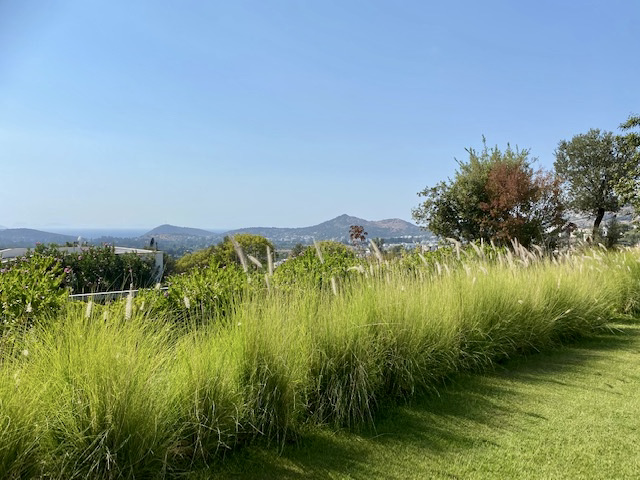 Gümüşlük, Bodrum — terrace detail